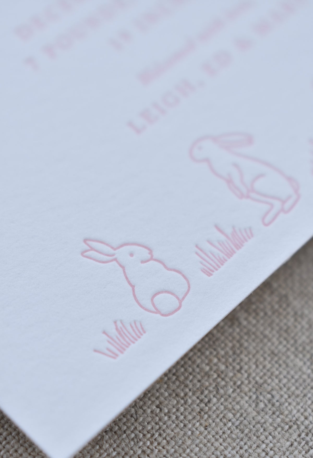 Sally Birth Announcement