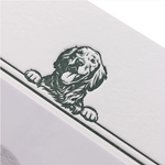 Rory Birth Announcement