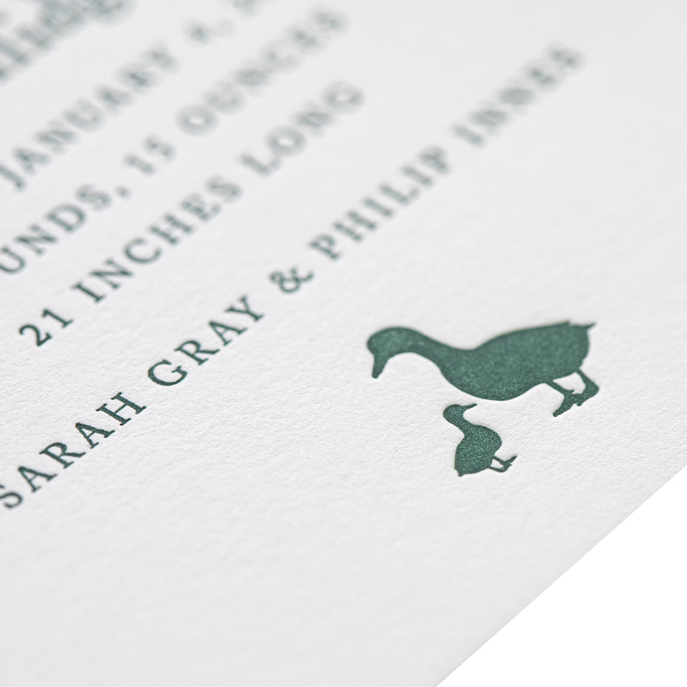 Thomas Birth Announcement