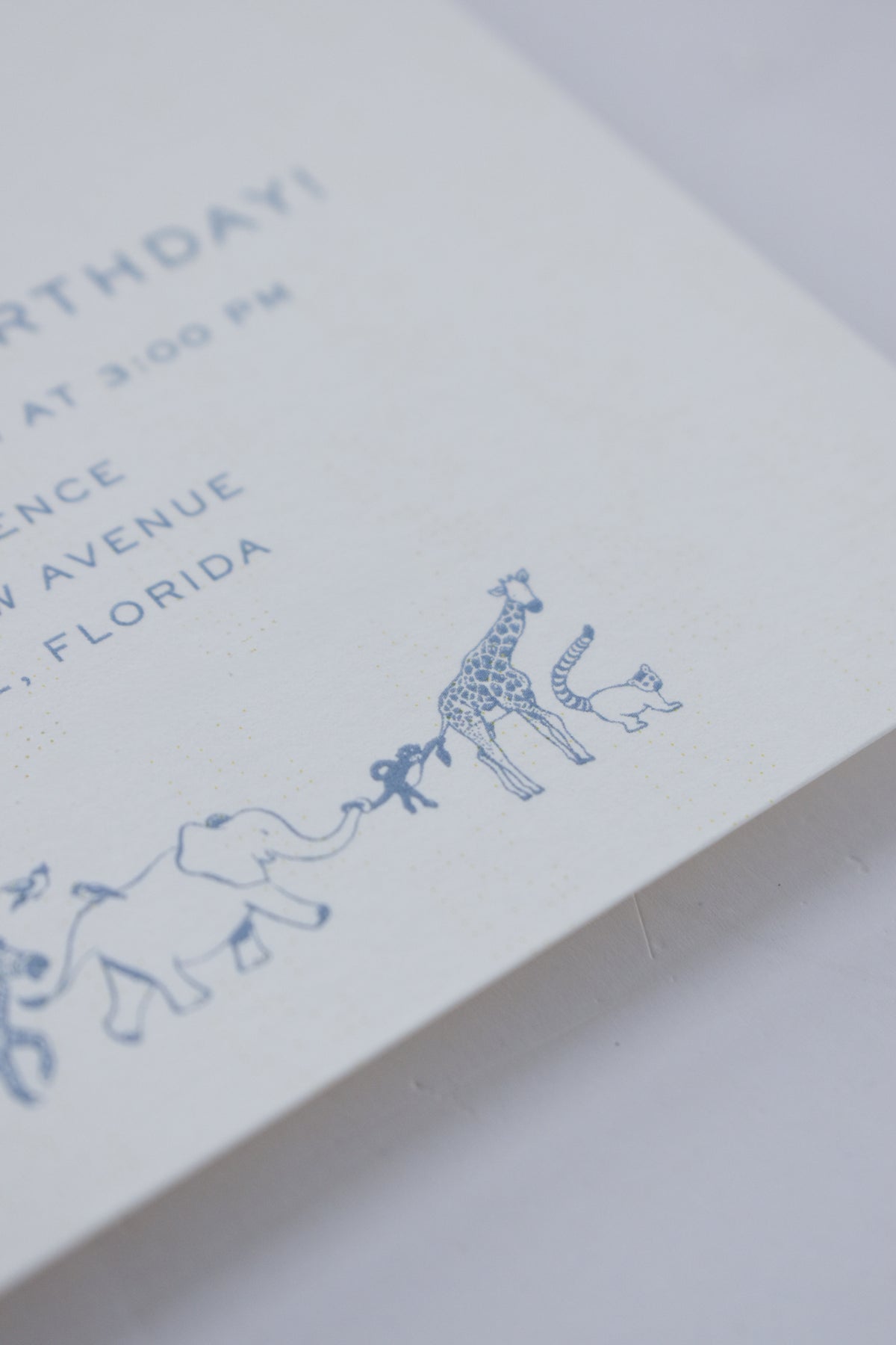 Party Animals Birthday Invitation