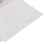 Sally Birth Announcement