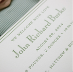 Airplane Birth Announcement