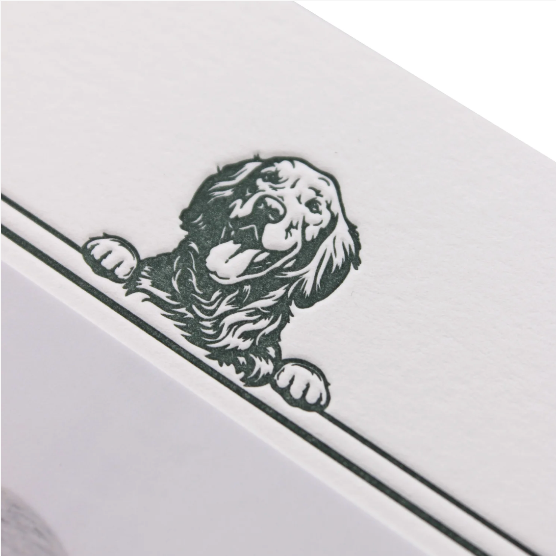 Rory Birth Announcement