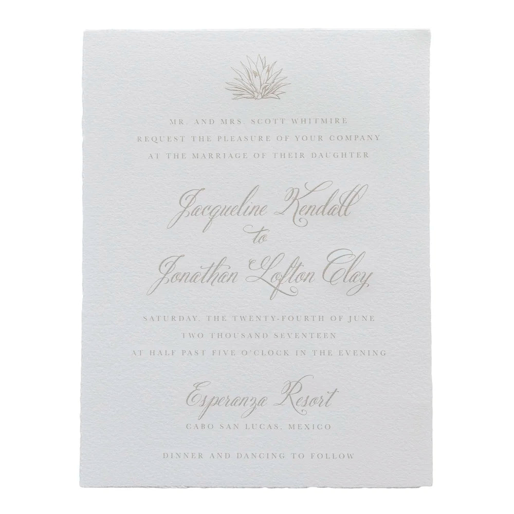 Taylor Wedding Suite (Arturo Paper)